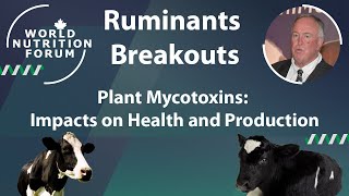 WNF 2016 Ruminants Breakouts 07 Plant Mycotoxins Impacts on Health and Production [upl. by Annavoig]