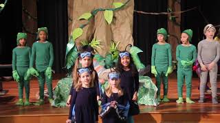 1st Grade Play  The Great Kapok Tree 2020 [upl. by Terrill]