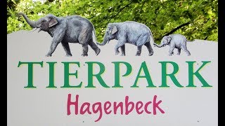 Tierpark Hagenbeck [upl. by Hax824]