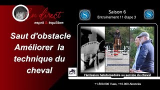 Saut dobstacle Gymnastique pour l équilibre et le style des chevaux coachendirecthorselearning [upl. by Jc449]