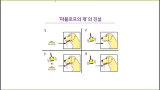 심리학자들만 아는 quot파블로프의 개quot의 진실 [upl. by Aicelf]