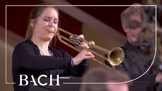 Bach  Easter Oratorio Kommt eilet und laufet BWV 249  Van Veldhoven  Netherlands Bach Society [upl. by Emirej924]