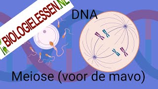 Meiose voor de MAVO [upl. by Gillespie]