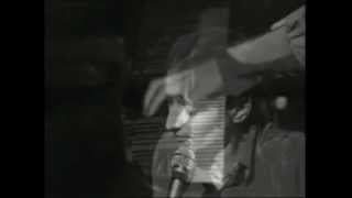 Barbara  Vienne Live 1973 [upl. by Curtice73]