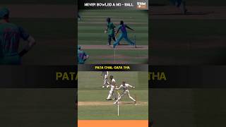 5 Great Bowlers Who Never Bowled A NoBall shorts cricket noball [upl. by Eelak]