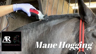 Mane hogging using the Liveryman Black Beauty Clippers [upl. by Aurilia]