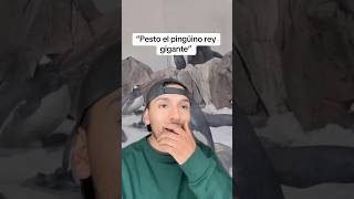 Pesto el pingüino rey gigante sabiasque curiosidades shorts [upl. by Ruben]