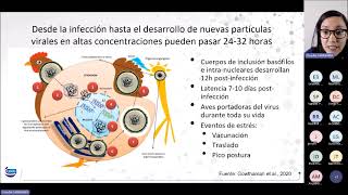 Webinar 69 I Control y monitoreo para Laringotraqueitis experiencia en Perú [upl. by Rehpotsirahc]