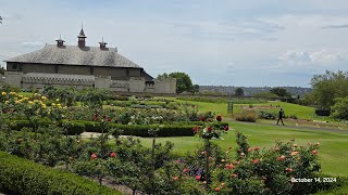 悉尼宫殿玫瑰园 Palace Rose Garden and Pavilion [upl. by Toulon]