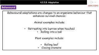 A Level Biology  4228  Adaptation [upl. by Auohs520]