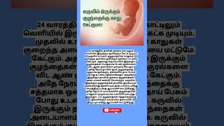 24 வாரத்தில் வயிற்றில் உள்ள குழந்தைக்கு காது கேட்குமா [upl. by Rapsag]