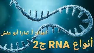 أنواع RNA ج2 [upl. by Estas]