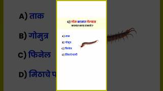 गोम कानात गेल्यास कानात काय टाकावे   GK Questions and Answers  shorts [upl. by Jun]