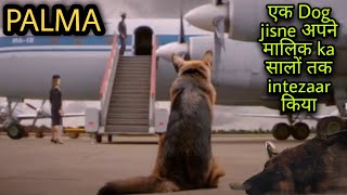 Palma story of an abondened dog movie Explanation In HindiUrdu Movie Summarized In Hindi [upl. by Edward]