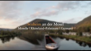 Senheim an der Mosel  hiking at the moselle river Region Cochem Moselsteig [upl. by Bliss]