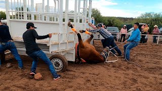 Carreras de Caballos en Cucurpe 25 Junio 2022 [upl. by Delogu224]