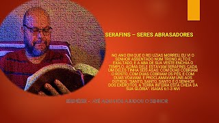 SERAFINS  SERES ABRASADORES [upl. by Gabbi]