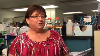 UT Veterinary Virologist Discusses Canine Distemper Virus [upl. by Risa]