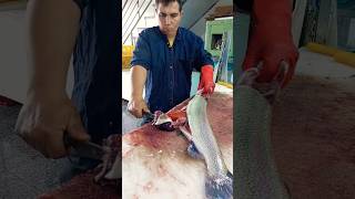 No boning of salmon and roe fishcutting [upl. by Maxantia712]