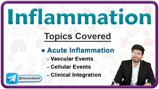 Acute Inflammation Vascular and Cellular events with Clinical integration 💥  Pathology Lecture 3 [upl. by Nannette]