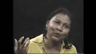 Copy of bell hooks Pt 1 cultural criticism and transformation [upl. by Ramyaj]