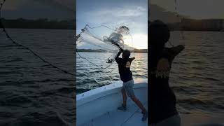 Captain Mike Throws Cast Net in Slow Motion SHORTS [upl. by Mahoney830]