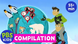 Wild Kratts  Arctic Creatures Compilation  PBS KIDS [upl. by Macintosh]