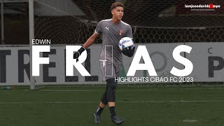 Edwin Frias  Best Saves  Highlights Cibao FC amp Sedofutbol 2023 [upl. by Aicirtap]