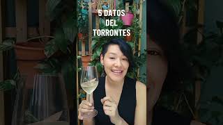 5 DATOS DEL TORRONTES 🍷 vino vinosargentinos winelovers aprendedevino somm [upl. by Hootman]