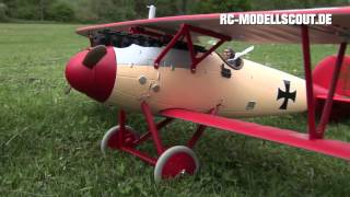 Test PARKZONE Albatros DVa von HORIZON HOBBY [upl. by Ellocin394]