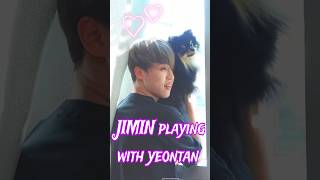 JIMIN playing with yeontan 🐶 BTS funny Hindi dubbing shorts trending bts [upl. by Aimahc906]