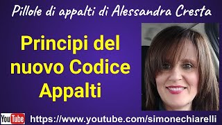 Pillole di appalti  Cresta  PRINCIPI del nuovo codice appalti 1262023 [upl. by Annasiul196]