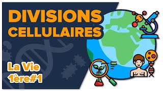 Les divisions cellulaires des eucaryotes SVT  LA VIE 1ère spé 1  Mathrix [upl. by Nage890]