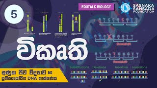 විකෘති  Mutations  EduTalk Biology [upl. by Lienahs206]