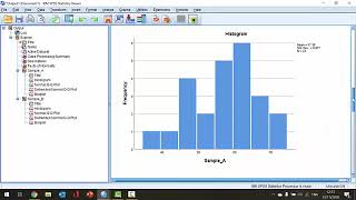 How To Test for Normality in SPSS [upl. by Ynaffad331]