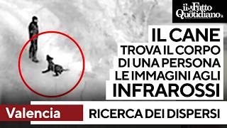 Continua la ricerca dei dispersi elicotteri cani e uomini lungo i fiumi e tra i detriti [upl. by Liew]