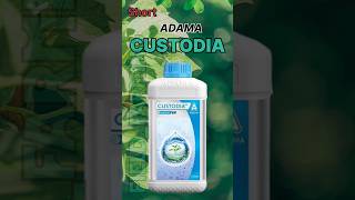 🌾Adama Custodia Fungicide  Azoxystrobin 11  Tebuconazole 183 ww SC [upl. by Laktasic]