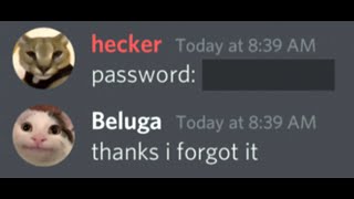 When a Hacker Finds Your Password [upl. by Templer]