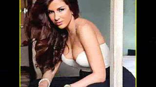 Nayer Ft Pitbull amp Mohombi  Suavemente with lyrics [upl. by Atires]