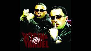 Mírala Bien  Wisin amp Yandel [upl. by Sedecrem]