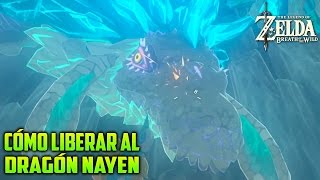 CÓMO LIBERAR AL DRAGÓN NAYEN FUENTE DE LA SABIDURíA  LEGEND OF ZELDA BREATH OF THE WILD [upl. by O'Gowan904]