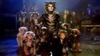 Cats the Musical  London Palladium [upl. by Melda]