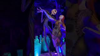 Jack and Sally  New York Botanical Garden [upl. by Itsrejk351]