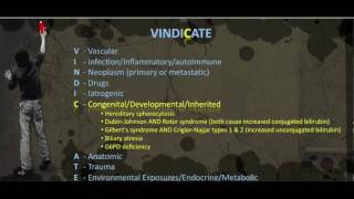 Jaundice VINDICATE MNEMONIC [upl. by Dine]