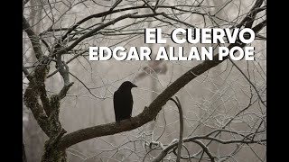 Edgar Allan Poe  El Cuervo [upl. by Crysta40]