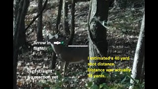 Arrow Trajectory Buck DUCKING THE STRING [upl. by Thant]