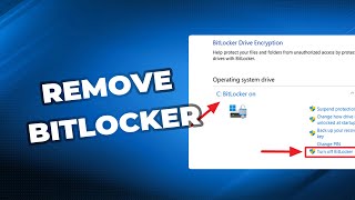 How to remove BitLocker Encryption in Windows 1110 [upl. by Yorick59]