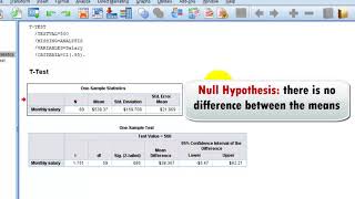 SPSS Tutorial 13  One Sample t Test in SPSS [upl. by Anaujahs]