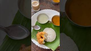 Idli And Chutney morning best breakfast ❤️ shortvideo idli ytshorts [upl. by Hube]