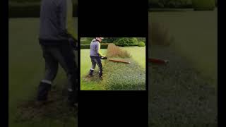 SUPER satisfying Hedge trimming goals [upl. by Hceicjow]